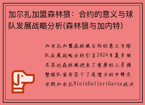 加尔扎加盟森林狼：合约的意义与球队发展战略分析(森林狼与加内特)