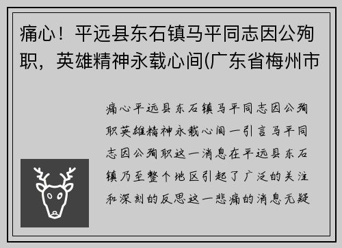 痛心！平远县东石镇马平同志因公殉职，英雄精神永载心间(广东省梅州市平远县东石镇)